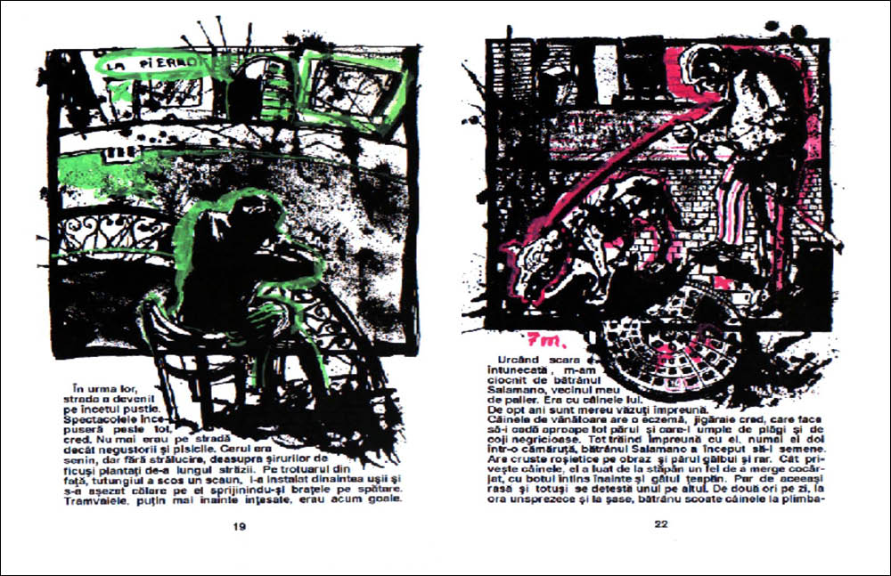 strainul pages